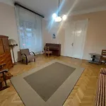 Apartament Cosyspacious Last Century Style Downtown Budapesta