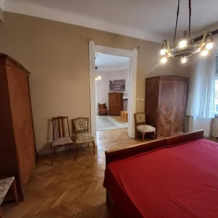 Cosyspacious Last Century Style Downtown Lejlighed Budapest