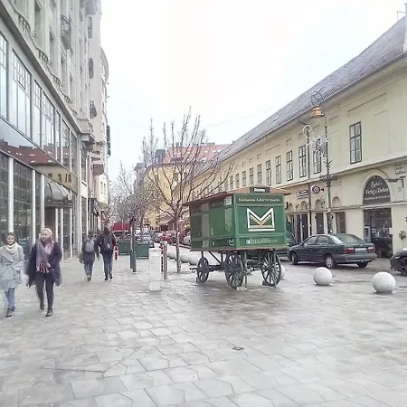 Cosyspacious Last Century Style Downtown *
