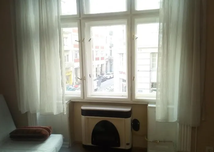 Apartman Cosyspacious Last Century Style Downtown